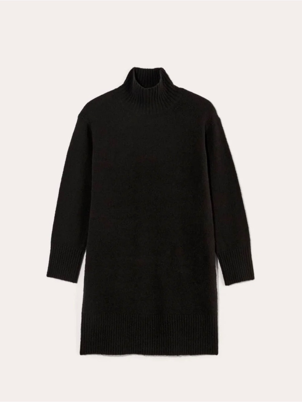 Everlane Cashmere Black Long Sleeve Turtleneck Sweater Dress